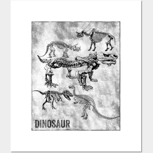 Dinosaur Posters and Art